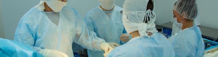 Европейский травматолог отметил высокий уровень оказания медицинской помощи в Кирове